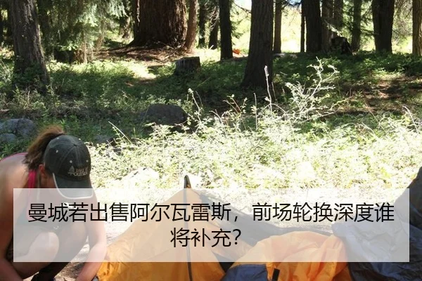man-cheng-ruo-chu-shou-a-er-wa-lei-si-qian-chang-lun-huan-shen-du-shui-jiang-bu-chong-2-809.jpg
